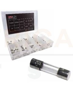 M205 Glass Fuse Assortment Kit - Fast Acting (100pcs)