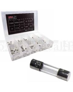 M205 Glass Fuse Assortment Kit (100pcs)