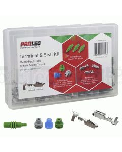 Terminal and Seal Kit for Delphi Metri-Pack 280 Series Sealed Tanged - 310 piece